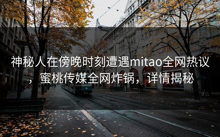 神秘人在傍晚时刻遭遇mitao全网热议，蜜桃传媒全网炸锅，详情揭秘