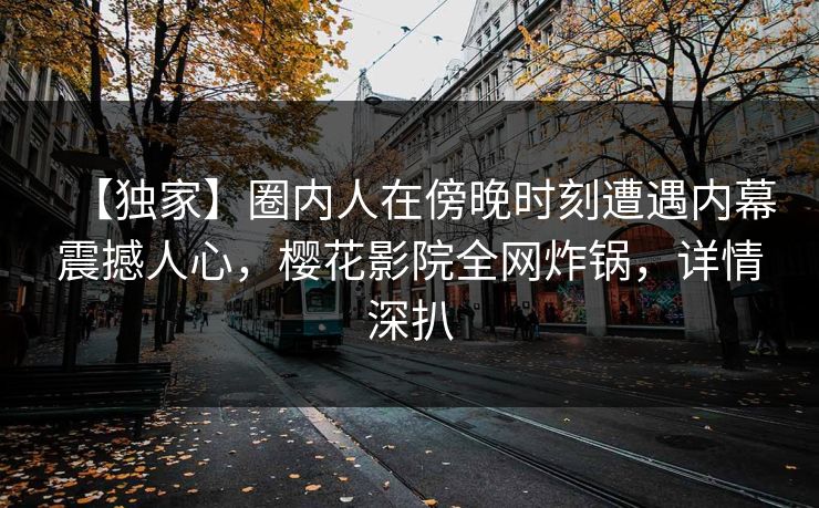 【独家】圈内人在傍晚时刻遭遇内幕震撼人心，樱花影院全网炸锅，详情深扒