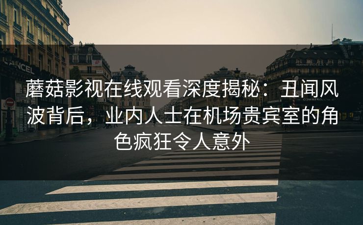 蘑菇影视在线观看深度揭秘：丑闻风波背后，业内人士在机场贵宾室的角色疯狂令人意外